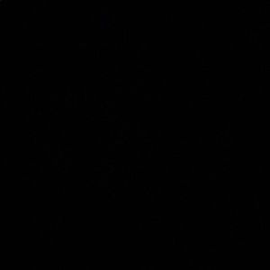 Meet your Posher, Jane